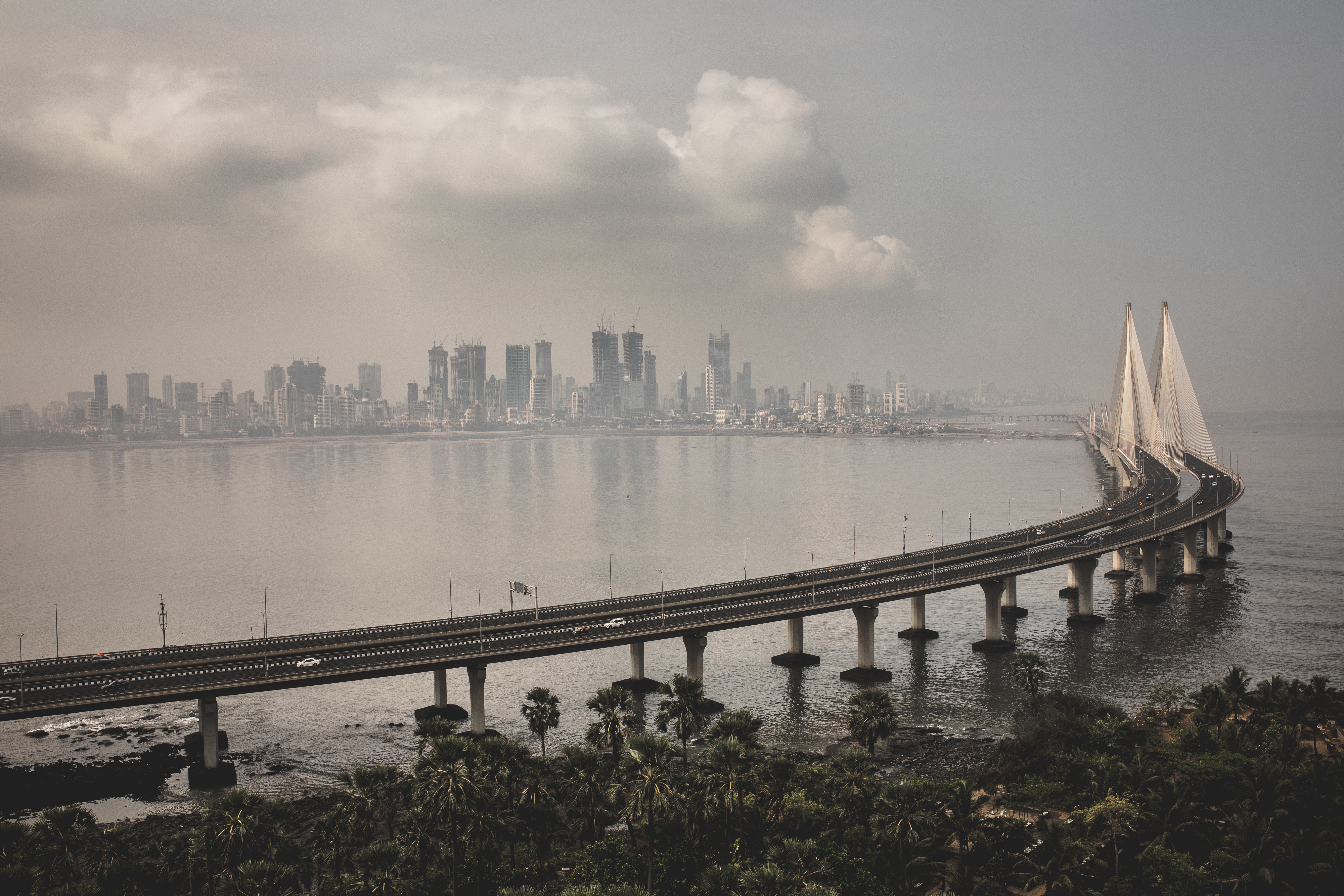 A_high-angle_view_of_the_Bandra-Worli_Sea_Link_in_Mumbai,_spanning_across_the_bay_with_the_city's_skyline_fading_into_the_distance_due_to_fog._The_bridge's_cable-stayed_structures_are_prominent_against_the_cloudy_sky,_and_the_water_below_reflects_the_muted_light_of_the_overcast_day._Lush_trees_in_the_foreground_add_a_natural_element_to_the_scene.